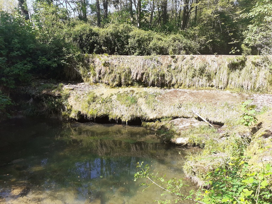 Action 19 - Etude seuils Jabron