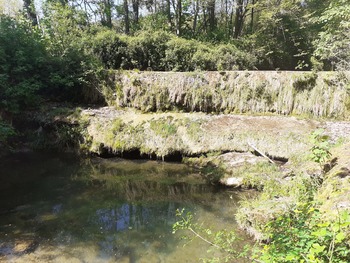 Action 19 - Etude seuils Jabron