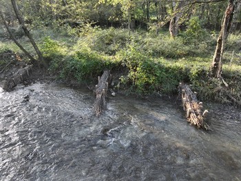 Action 12 - Diversifications des habitats