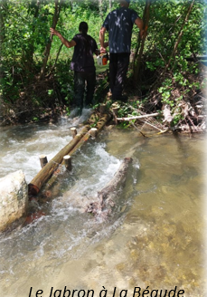 Action 15 - Diversifications des habitats