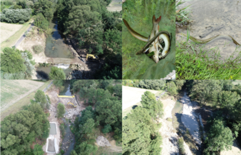 Action 16 - Dérasement du seuil à Redondon