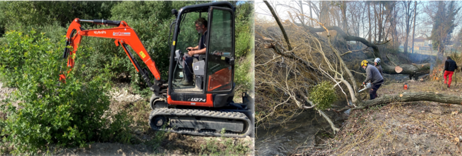 Action 3 - Gestion de la ripisylve