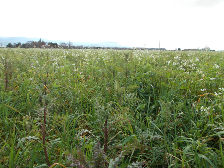 Action 5 - Projet AGRI-Biodiversité