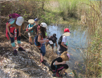 Action 5 - Promotion des actions