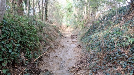 Action 22 - Diagnostic éco-morphologique